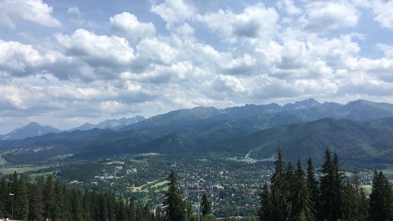 Polana Szymoszkowa Ski Resort - My Dream Apartment 扎科帕内 外观 照片